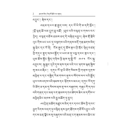 聂多基金会有限公司：第七世噶玛恰美仁波切传记（藏文版）