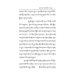 聂多基金会有限公司：第七世噶玛恰美仁波切传记（藏文版）